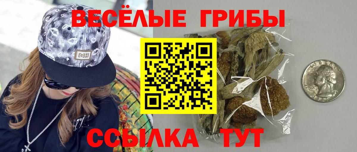 Осинники  Псилоцибиновые грибы прущие грибы  Вход с VPN  Псилоцибиновые грибы Magic Shrooms 